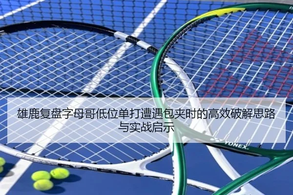 雄鹿复盘字母哥低位单打遭遇包夹时的高效破解思路与实战启示